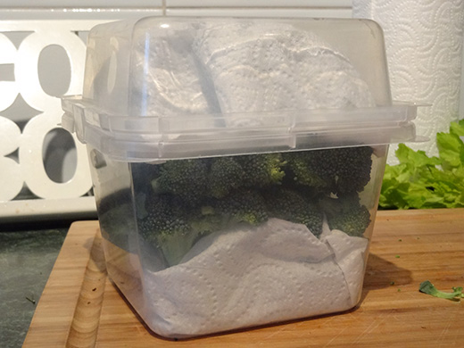 How to store broccoli so it stays crisp and fresh