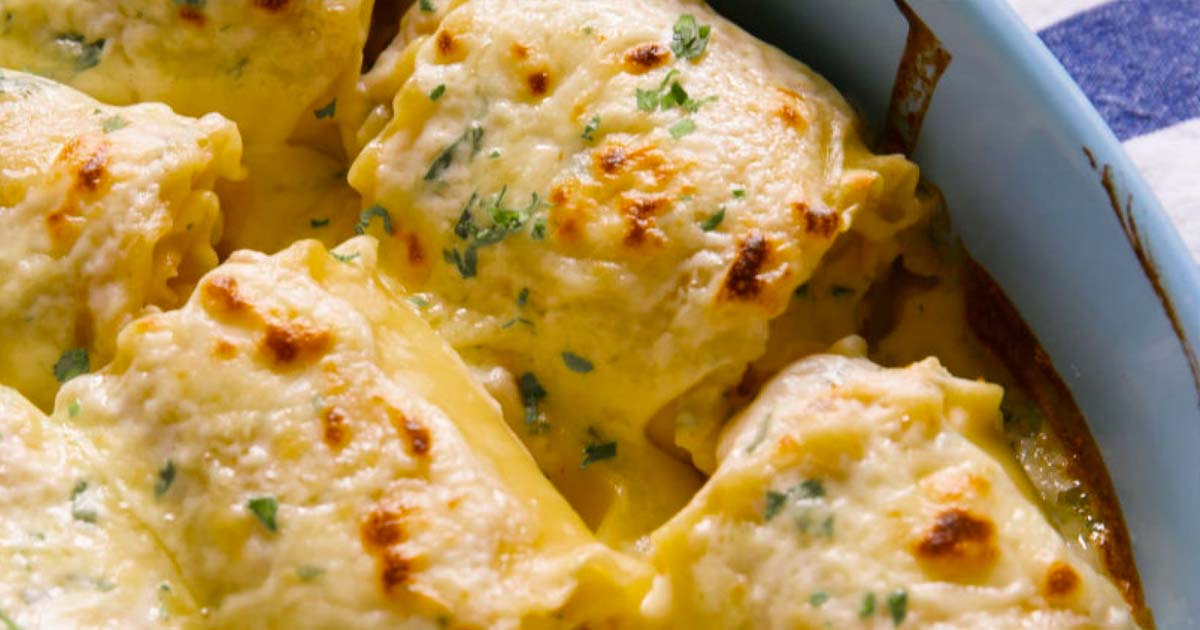Chicken Alfredo Roll-Ups
