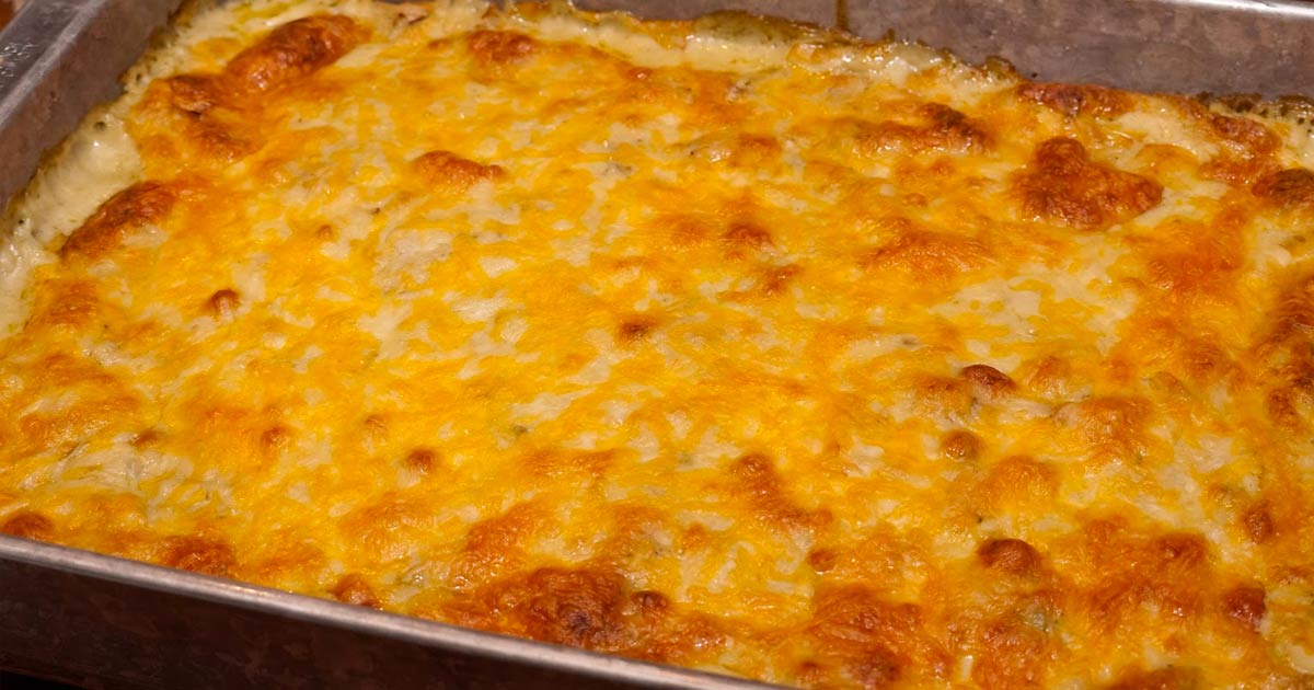 Sour Cream Chicken Enchilada Casserole