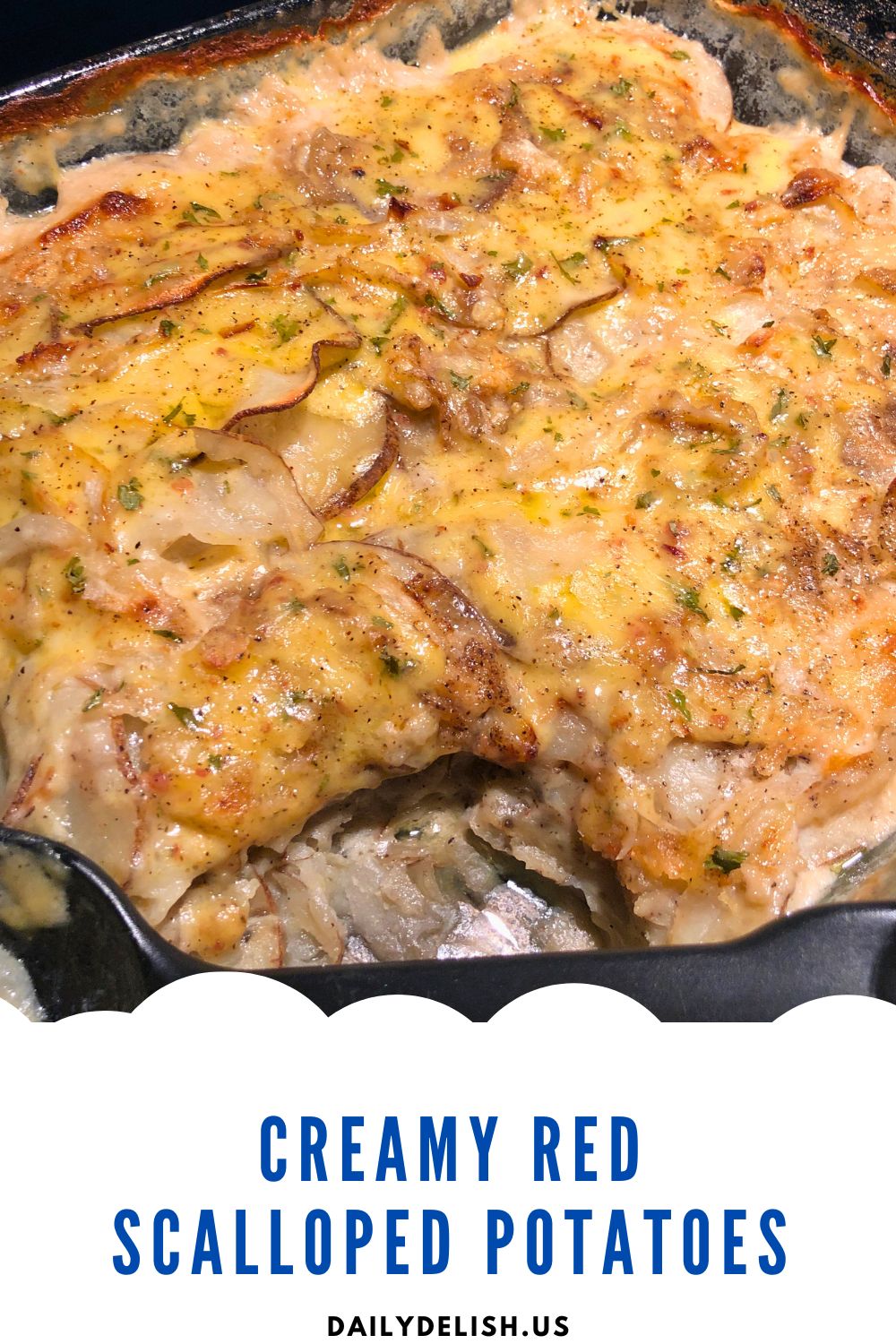 Creamy Red Scalloped Potatoes